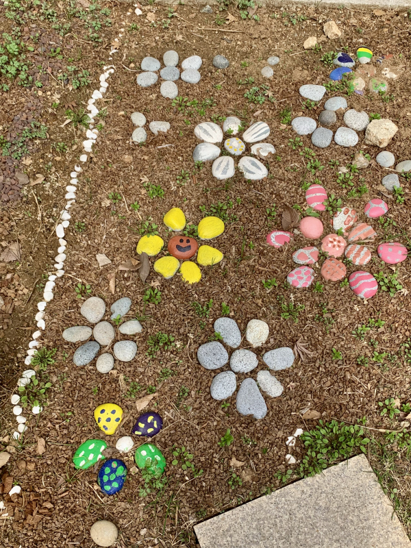 panted stones arranged like flowers