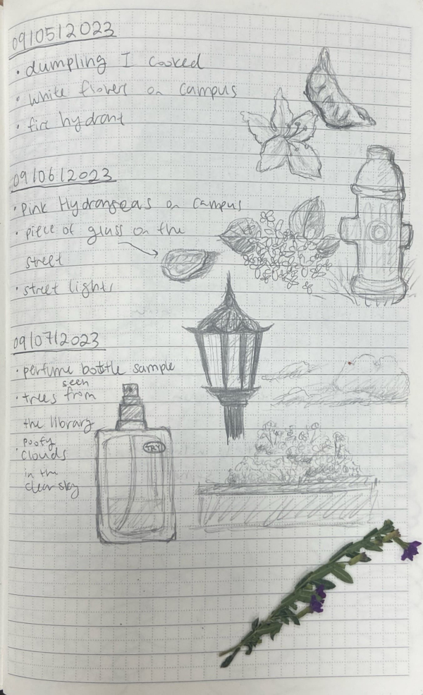lists of visually interesting items and sketches of them