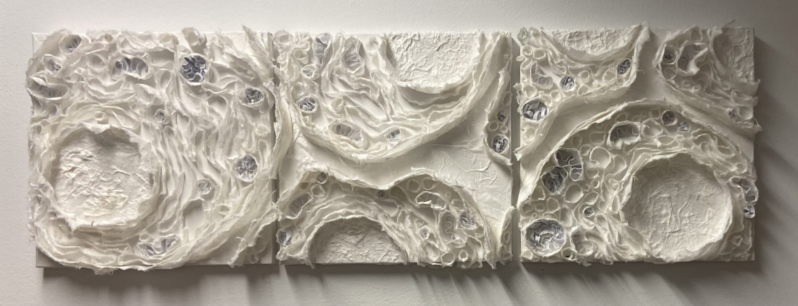 a triptych depicting cross-sections of cells on white canvases with attached pieces of thin paper manipulated into swirls and circles