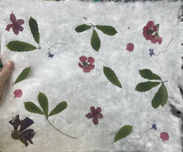 hanji paper with flattened purple and dark reddish pink flowers along with green leaves