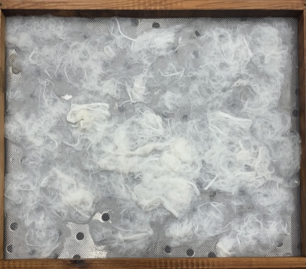 hanji fibers laid out on a wet, mesh frame before transferred to a microfiber cloth to dry into hanji paper